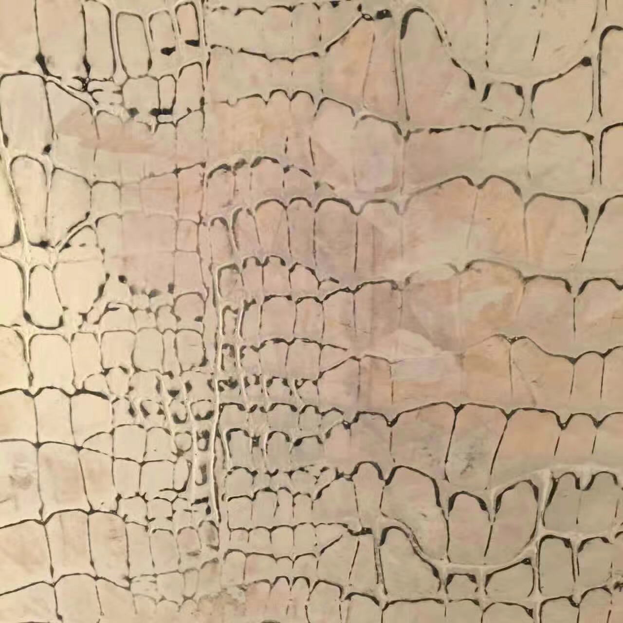 藝術(shù)涂料 藝術(shù)涂料