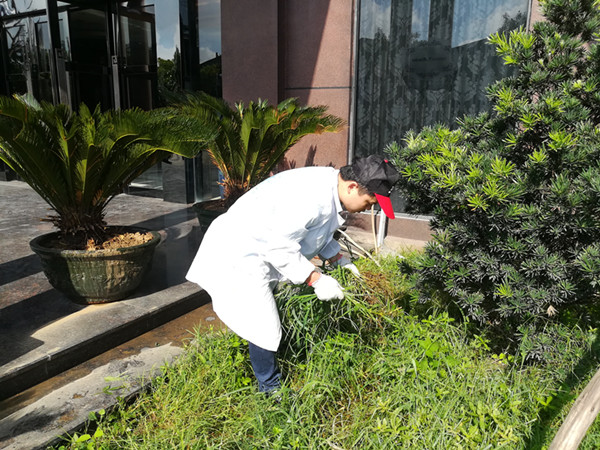 阿里大師 阿里大師