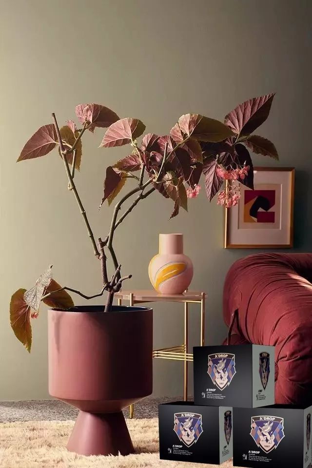 阿里大師喬瓦尼藝術(shù)涂料 阿里大師喬瓦尼藝術(shù)涂料