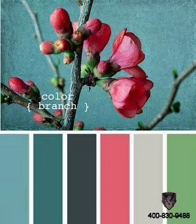 阿里大師喬瓦尼藝術(shù)涂料 阿里大師喬瓦尼藝術(shù)涂料