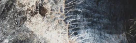 喬瓦尼藝術(shù)涂料 喬瓦尼藝術(shù)涂料