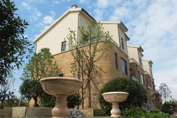 阿里大師水漆 阿里大師水漆